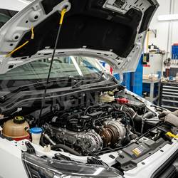 FORD TRANSIT 350 LEADER ECOBLUE BKRA 2.0 2020 - Reliable used Engine Replacement